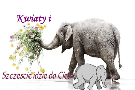 Kwiaty i szczęście idzie do Ciebie